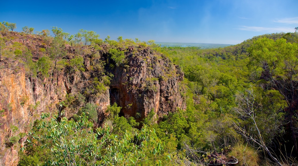 Litchfield National Park featuring forest scenes and landscape views