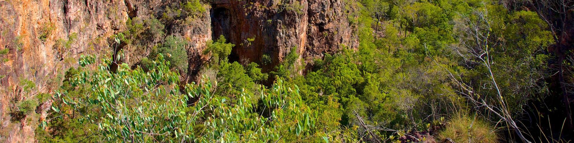 Litchfield National Park which includes landscape views and forests