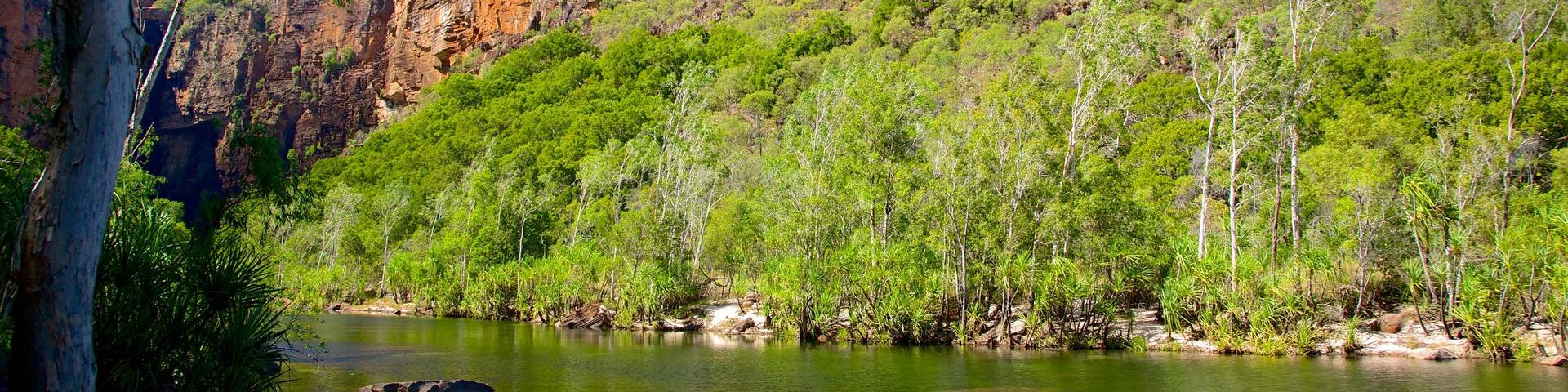 Jim Jim Falls showing a river or creek and landscape views