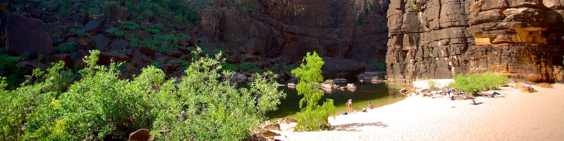 Jim Jim Falls which includes a gorge or canyon