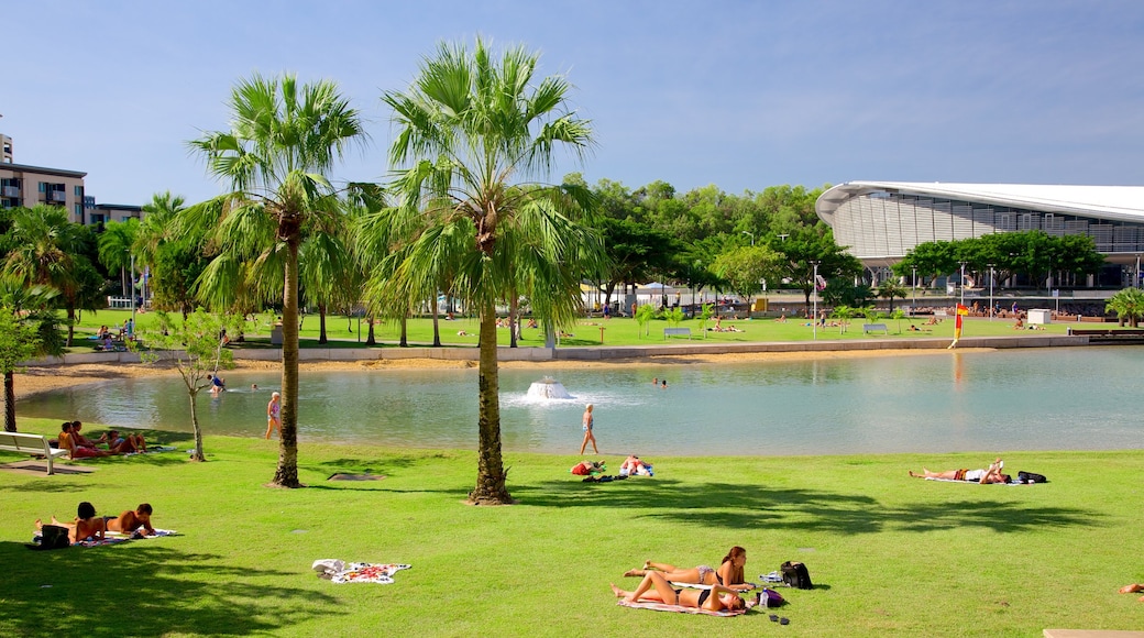 Paseo Marítimo de Darwin ofreciendo jardín