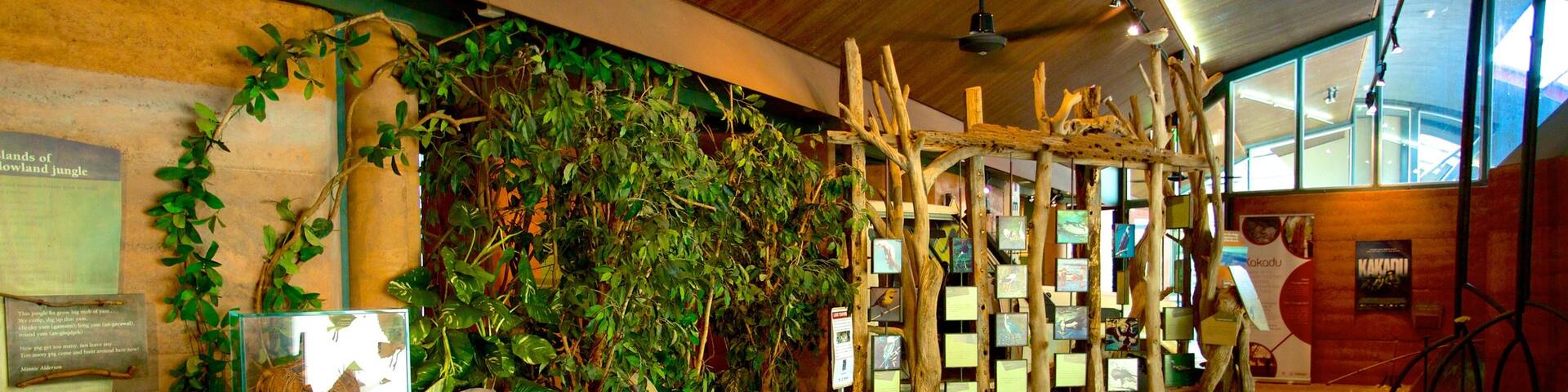 Kakadu National Park which includes interior views