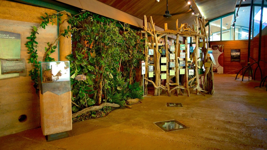 Kakadu National Park which includes interior views