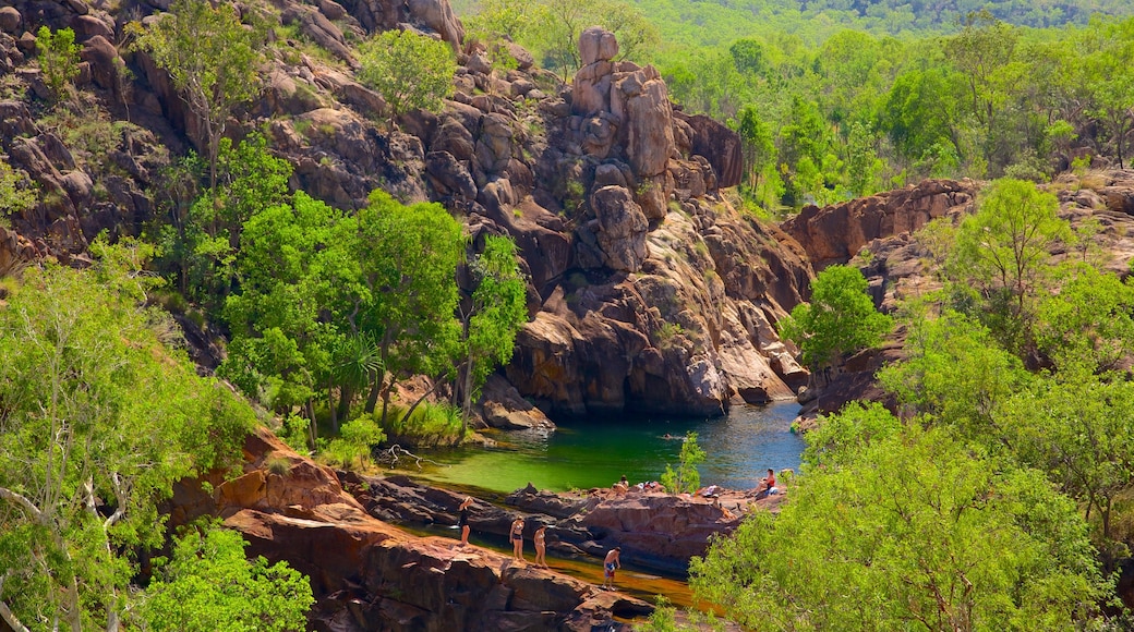 Kakadu National Park featuring tranquil scenes