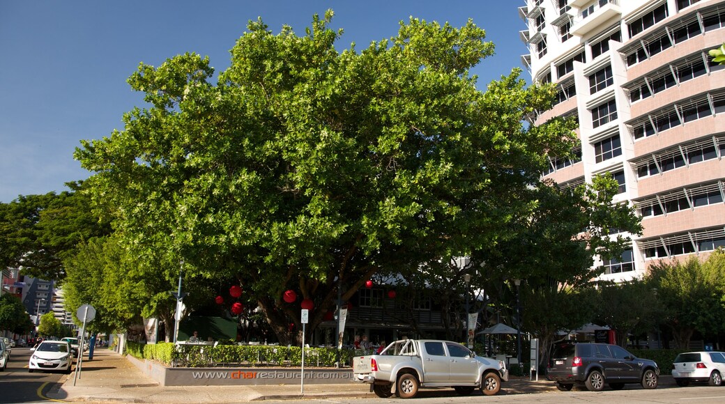 Darwin mettant en vedette scènes de rue