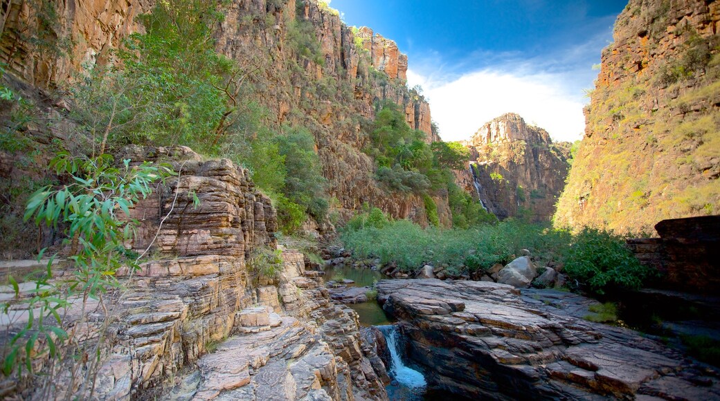 Kakadu National Park showing a gorge or canyon
