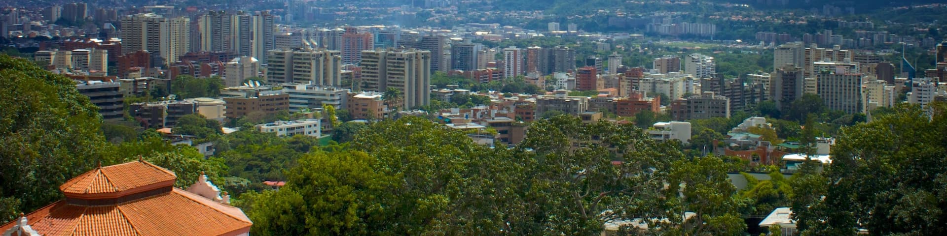 Caracas showing a city