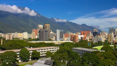 Central University of Venezuela showing a city