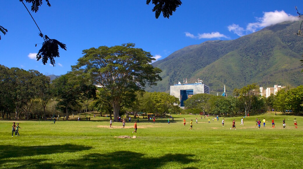 East Park which includes a garden