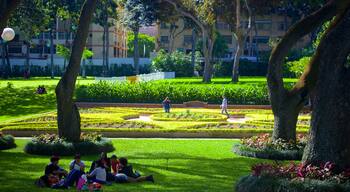 Caracas cho thấy dã ngoại và công viên cũng như nhóm lớn