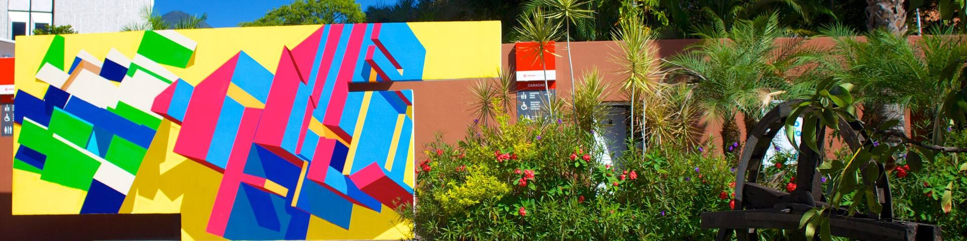 Caracas which includes outdoor art