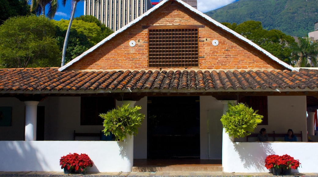 Caracas featuring a house