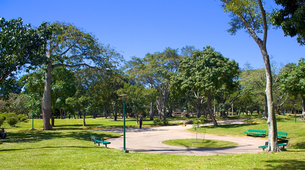 Parque del Este caratteristiche di parco