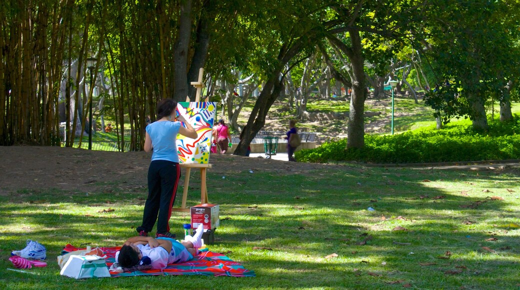 Parque del Este che include giardino e arte urbana