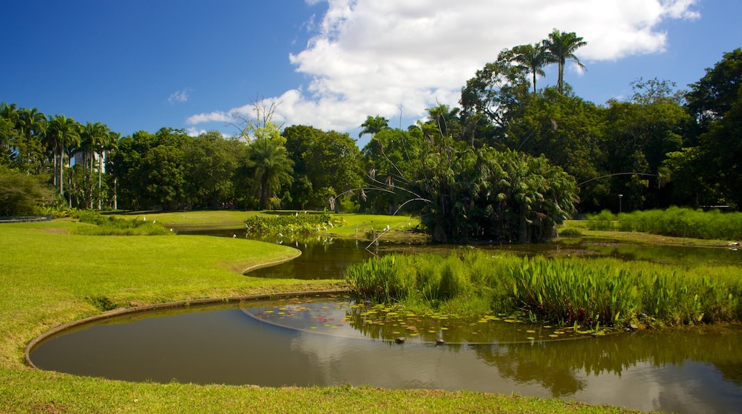 East Park which includes a pond and a garden