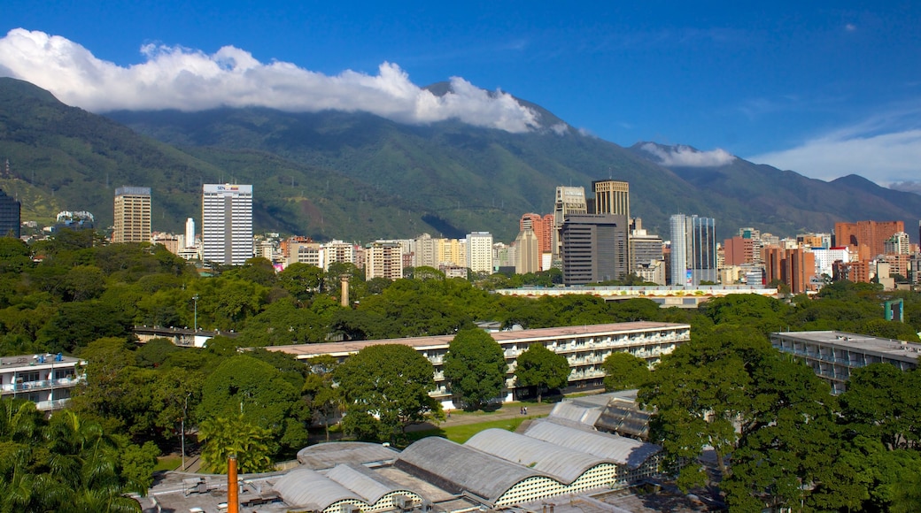 Universidade Central da Venezuela que inclui linha do horizonte e uma cidade