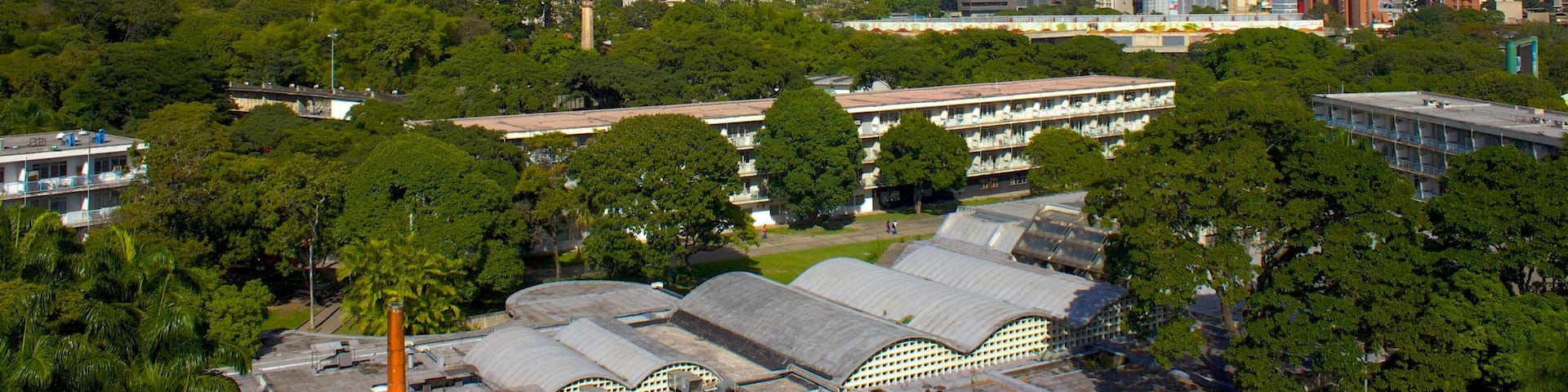Central University of Venezuela which includes a city and skyline