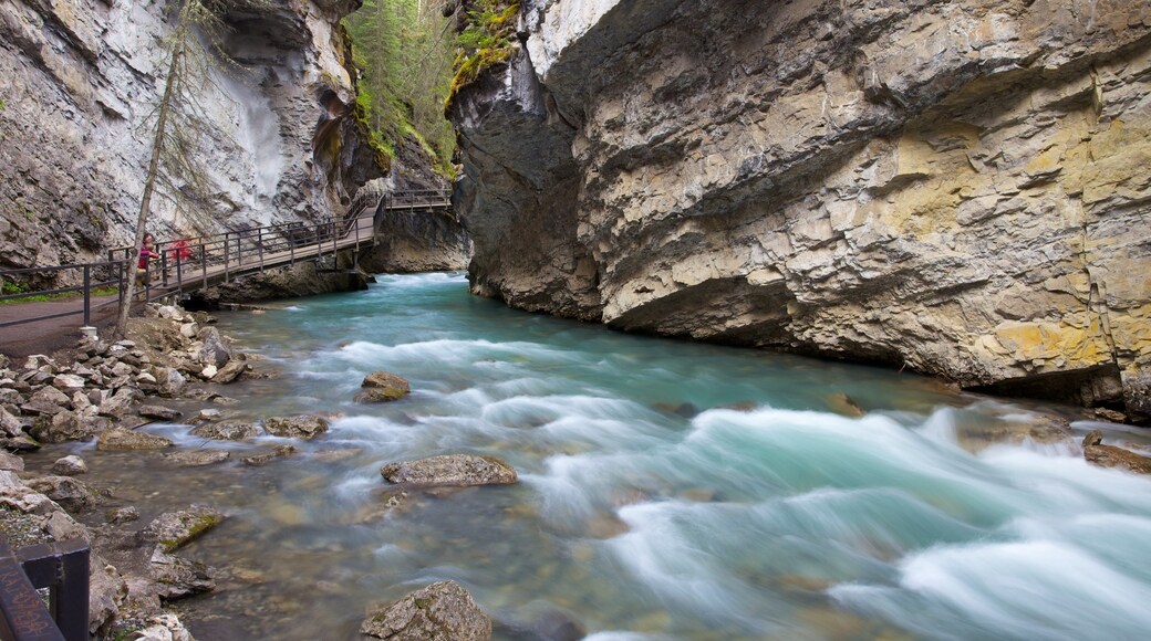 Kanada mit einem Fluss oder Bach