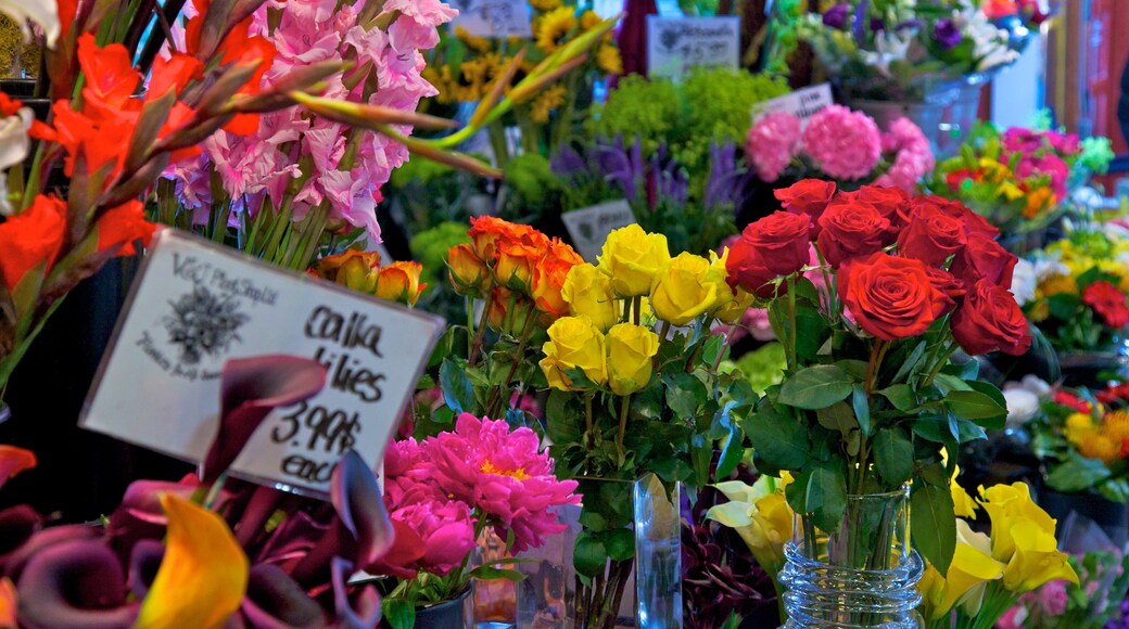 British Columbia das einen Blumen