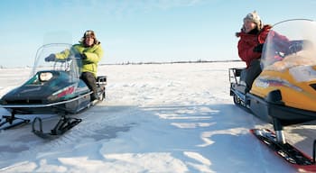 Manitoba bevat sneeuwscooter en sneeuw