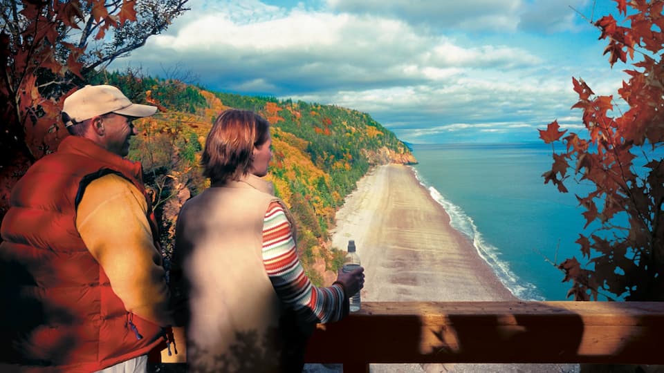 New Brunswick which includes general coastal views, views and autumn leaves