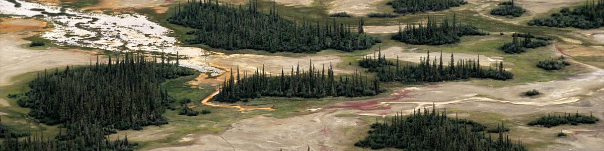 Northwest Territories/Nordwestliche Territorien mit einem Waldmotive und ruhige Szenerie