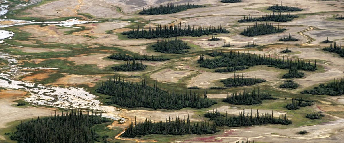 Northwest Territories showing tranquil scenes and forests
