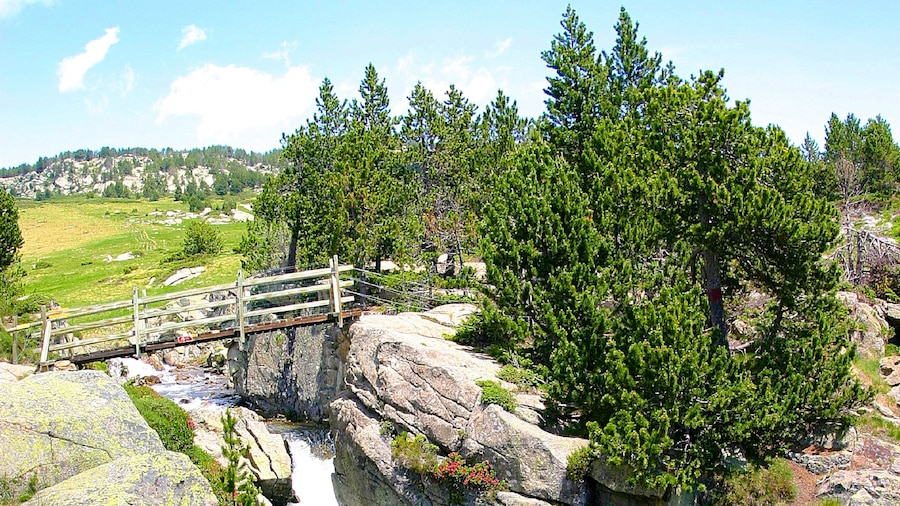 Quebec showing a bridge