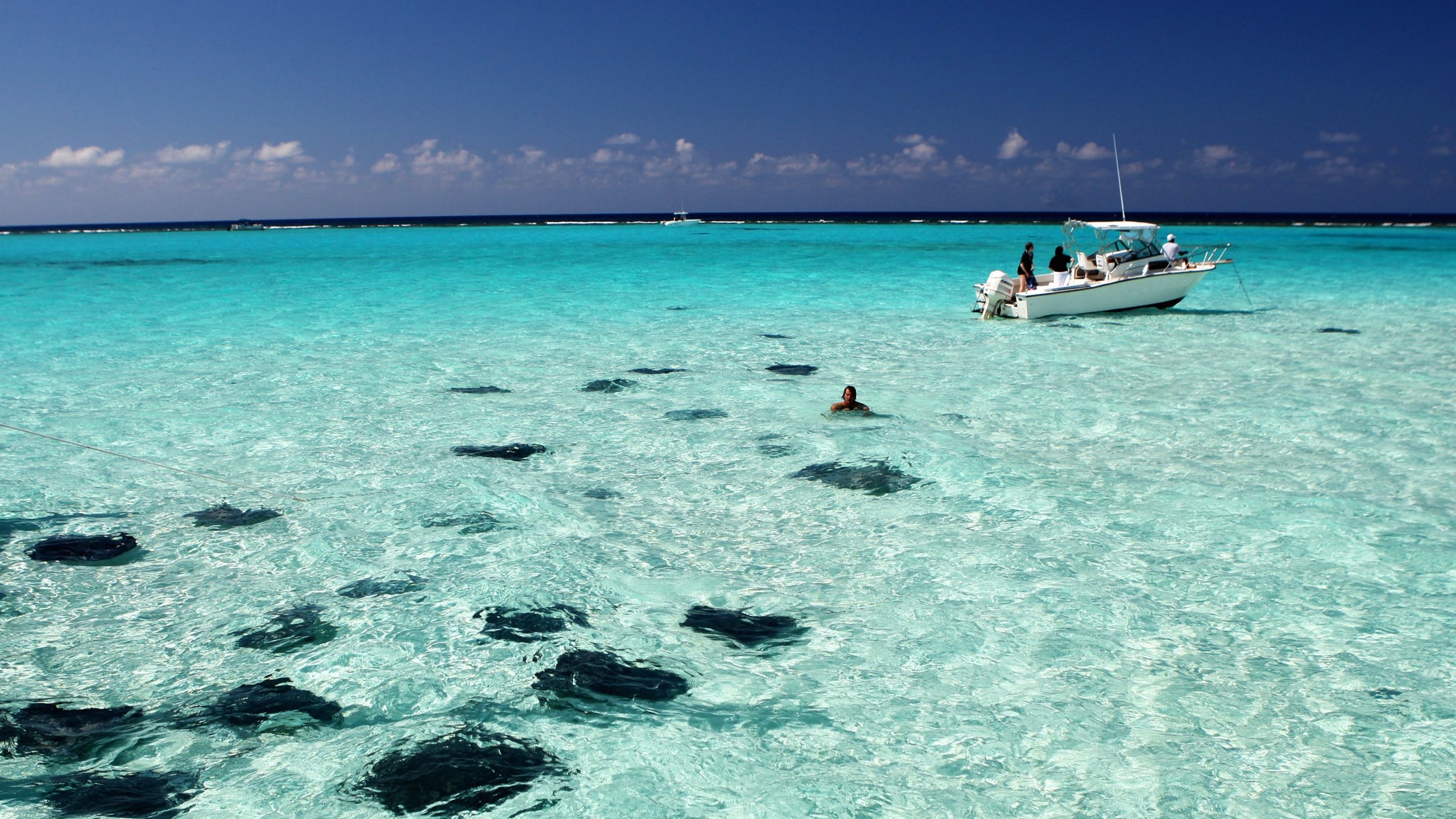 swingers grand cayman island