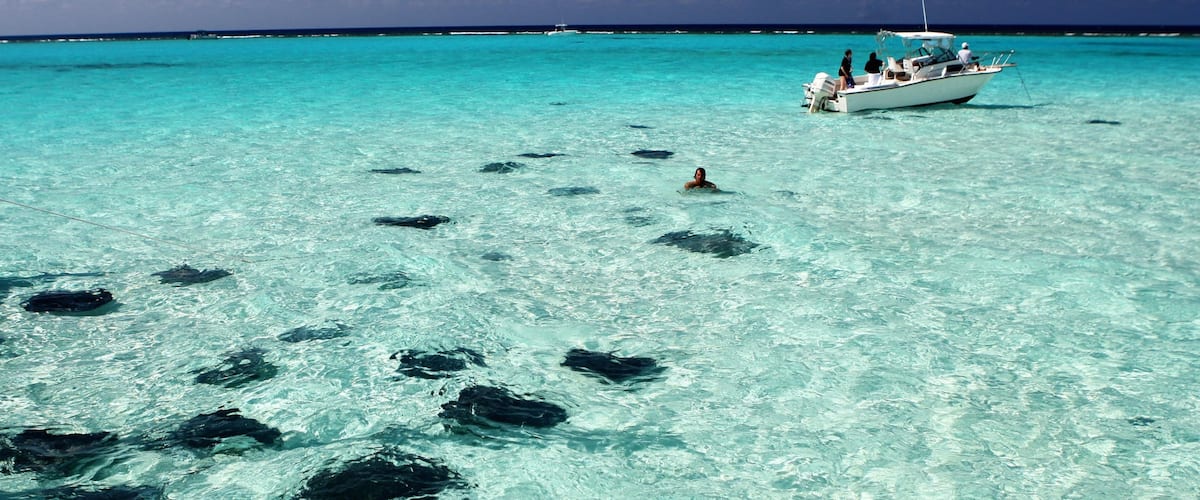 Grand Cayman mostrando giro in barca