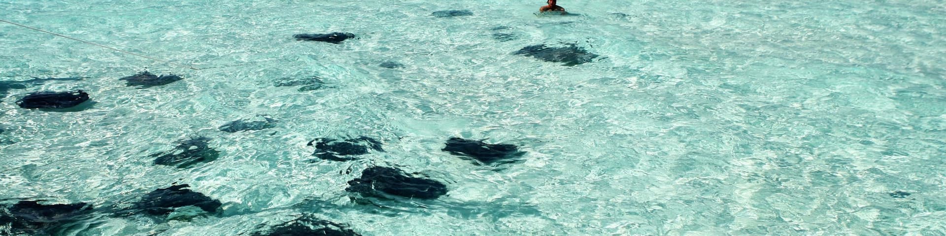 Grand Cayman welches beinhaltet Bootfahren