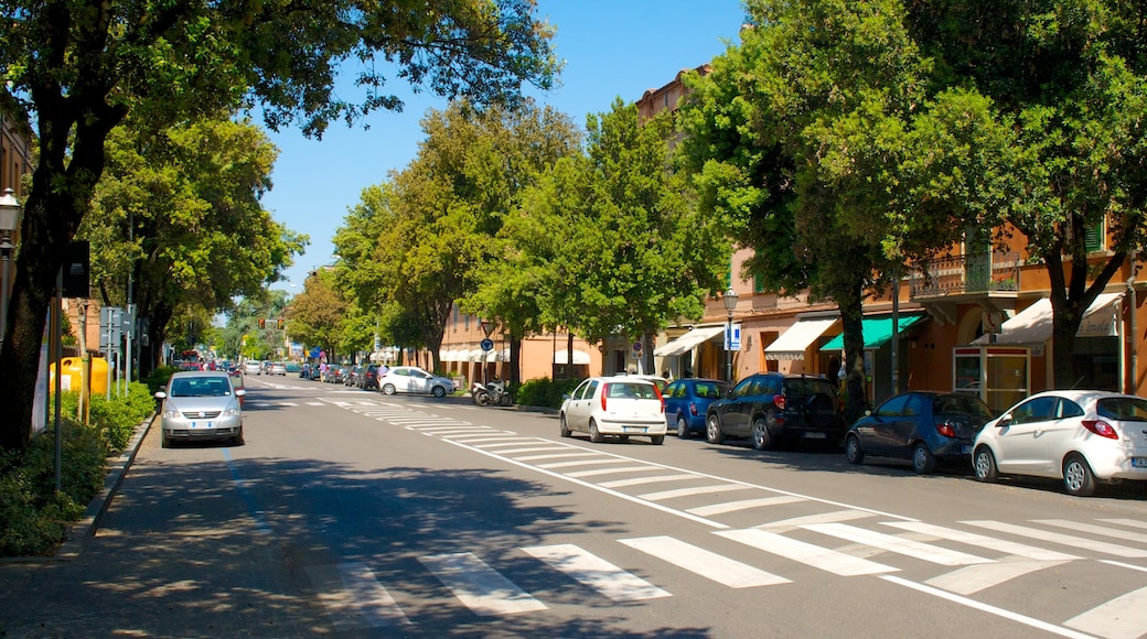 Imola featuring street scenes and a city