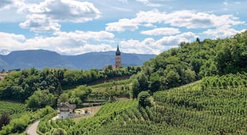 Bolzano som visar åkrar, utsikter och landskap