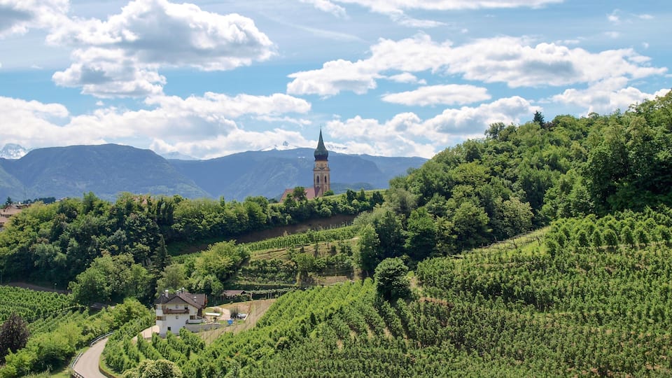 Bolzano showing views, landscape views and farmland