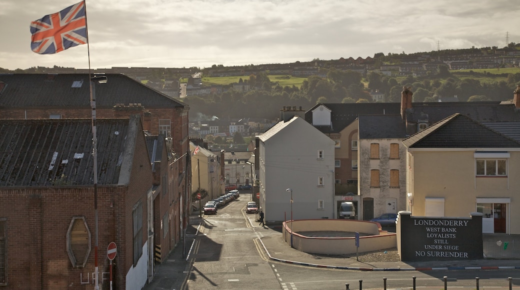 Irlanda ofreciendo una pequeña ciudad o aldea, una casa y arquitectura patrimonial