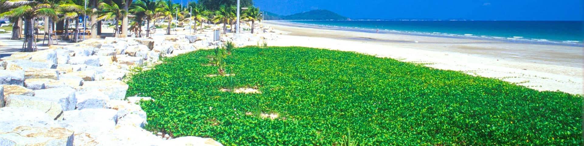 Rayong which includes a beach, tropical scenes and a coastal town