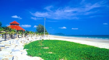 Rayong featuring tropical scenes, a sandy beach and a coastal town