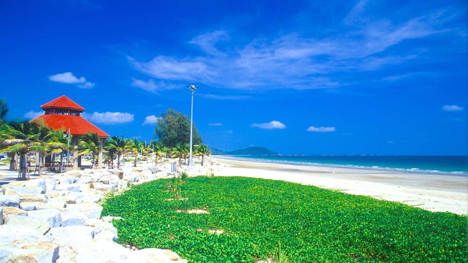 Rayong que incluye escenas tropicales, una ciudad costera y una playa