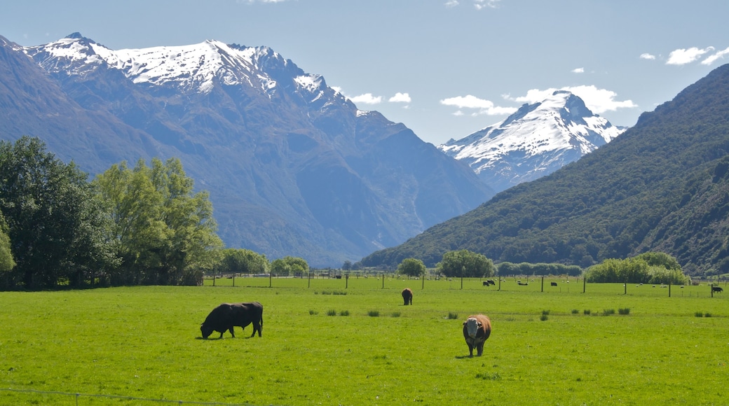 South Island showing mountains and land animals