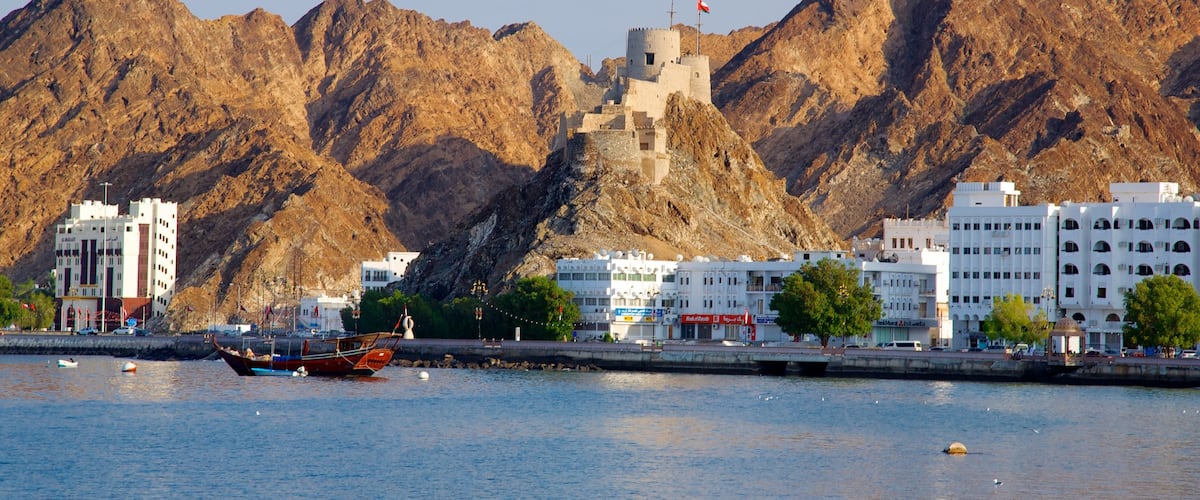 Oman showing a coastal town