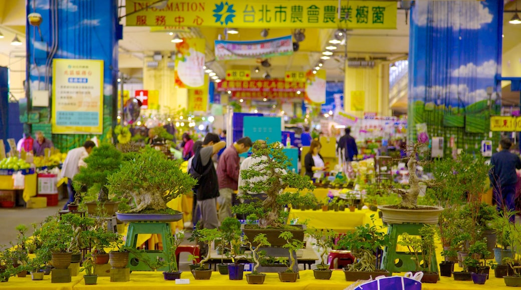 Taipei caracterizando flores