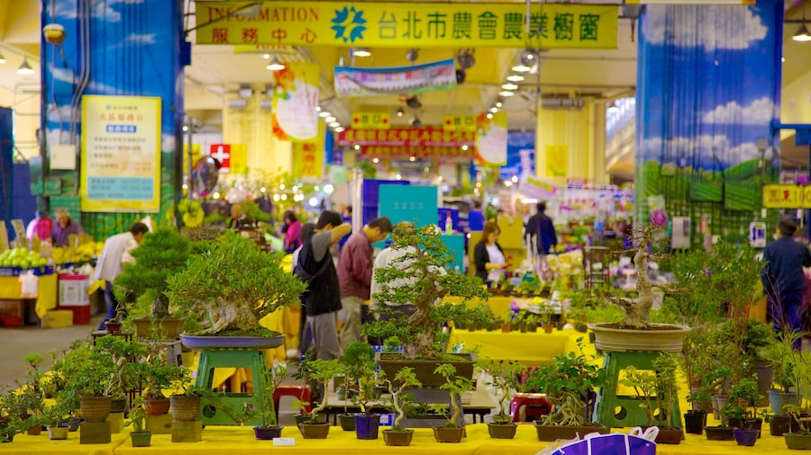 Taipei caracterizando flores