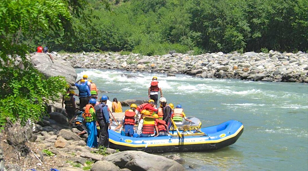 Manali mostrando córrego e rafting assim como um grande grupo de pessoas