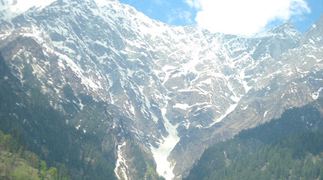 Manali showing mountains and snow