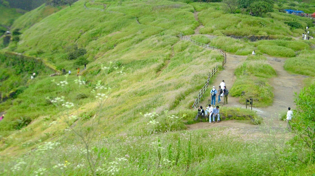 Lonavala showing hiking or walking and tranquil scenes