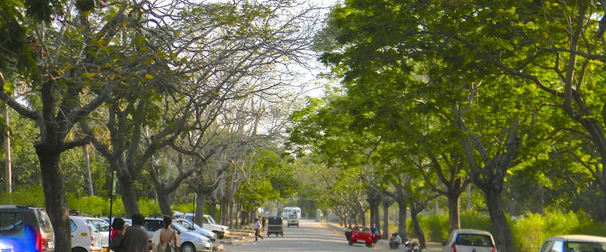 Mysore featuring street scenes