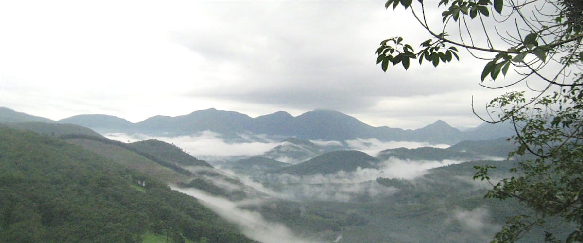 Thekkady which includes mist or fog
