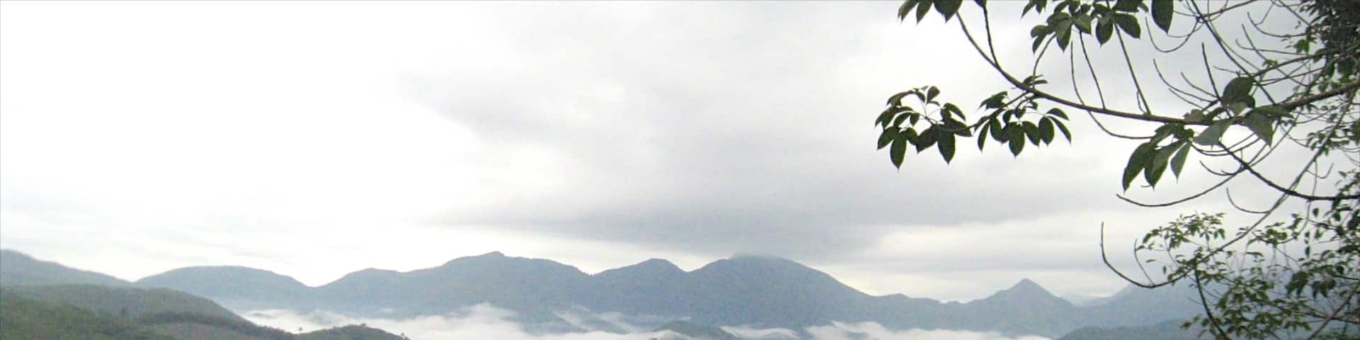 Thekkady which includes mist or fog
