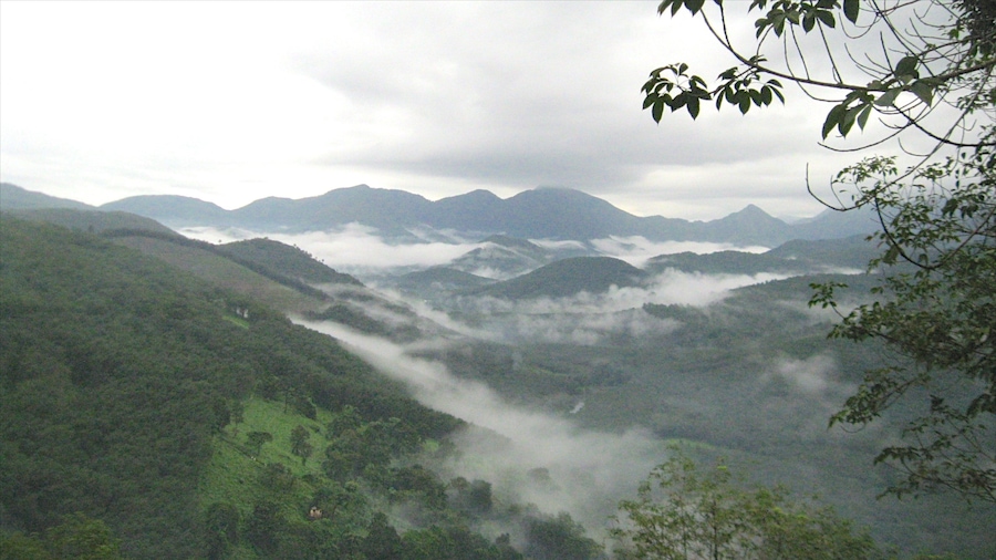Thị trấn Thekkady có tính năng sương mù