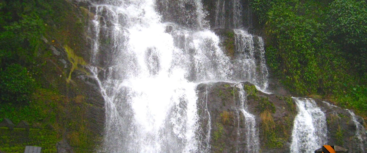 Thekkadi que incluye una cascada